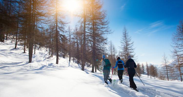 Personas caminando en un bosque nevado bajo un sol brillante.