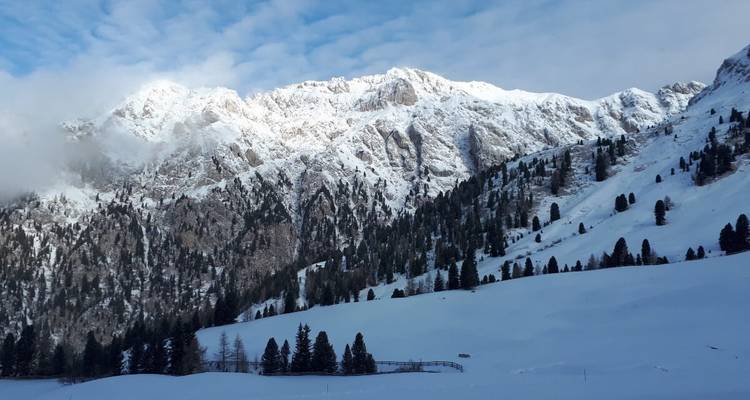 Forêt et montagnes enneigées sous un ciel partiellement nuageux.