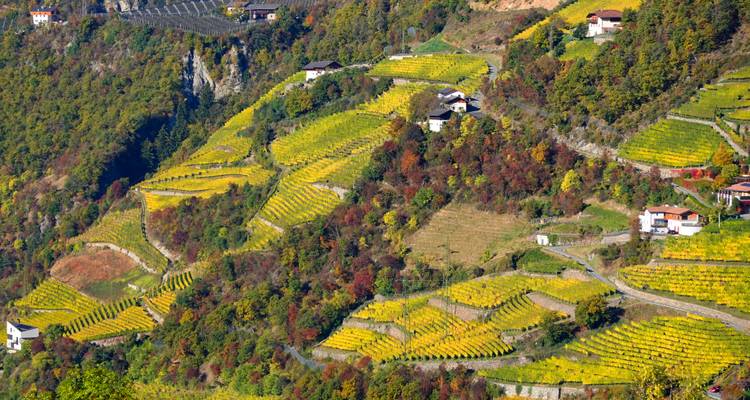 Terraced fields on a colorful hillside with small houses.