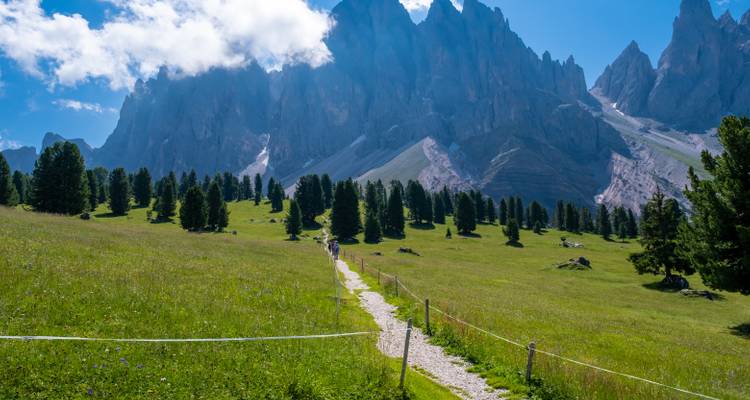 Mountain path leading to dramatic peaks with vibrant greenery.