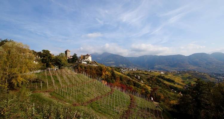Rolling hills of vineyards with a historic building in the distance.