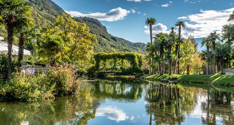 Exuberantes jardines de palmeras rodean un estanque reflectante con fondos montañosos bajo el sol de Merano.