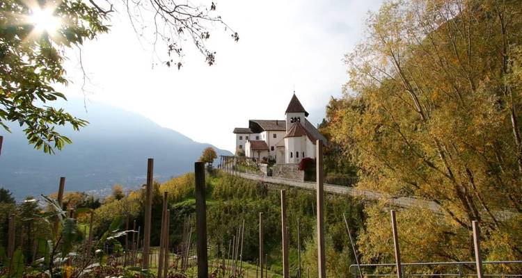 A charming church sitting atop a vineyard hill with autumn leaves.