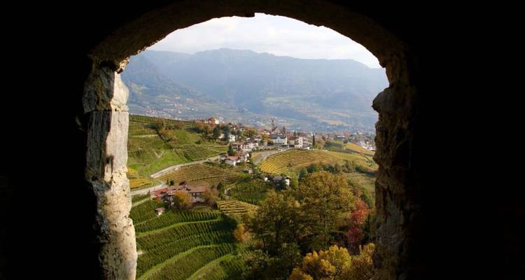 View of a picturesque valley from inside a stone archway, dotted with vineyards.