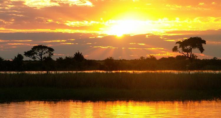 Strahlender orangefarbener Sonnenuntergang über einem Fluss mit silhouettierten Akazienbäumen und Schilf