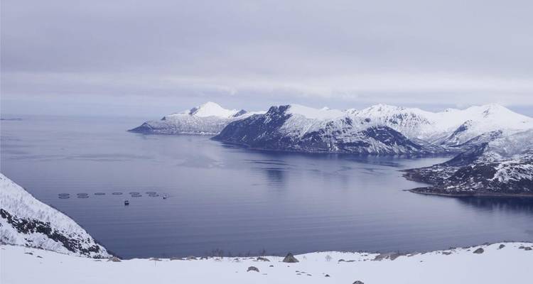 Montagnes enneigées et une baie avec des fermes piscicoles visibles.