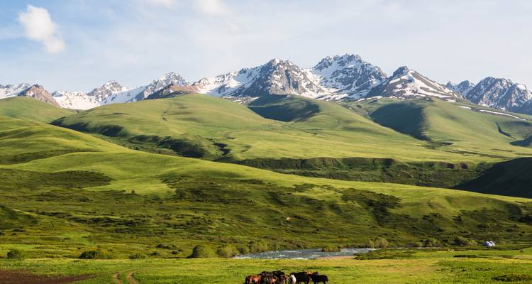 Grasige Hügel und schneebedeckte Berge mit weidenden Pferden.