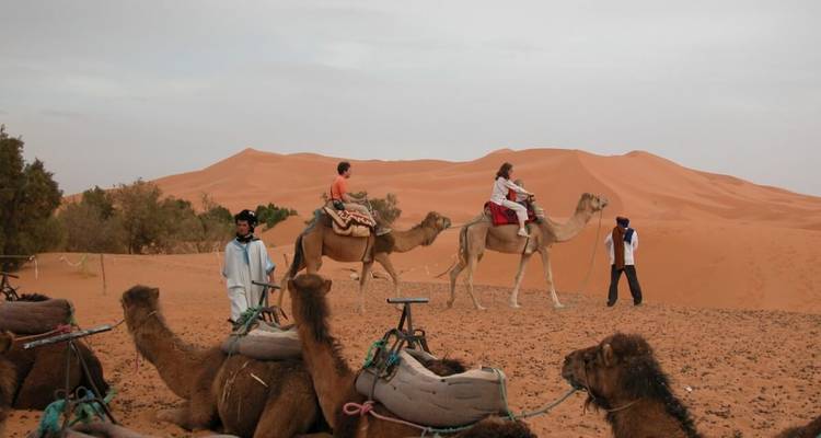 Gruppe von Menschen auf Kamelen in der Wüste.