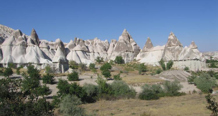 White rock formations of Cappadocia with greenery.