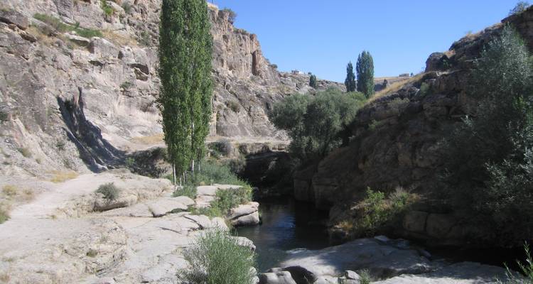 Lush canyon scene with a small stream and tall trees.