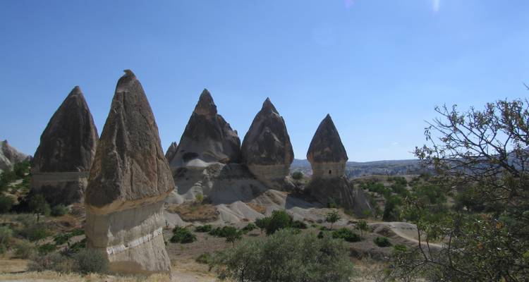 Unique rock formations in Cappadocia with sparse vegetation.