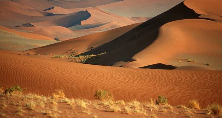 Weite Wüstenlandschaft mit dramatischen Sanddünen und vereinzelter Vegetation.
