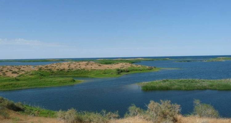 Blick auf einen See mit grasbewachsenen Inseln.