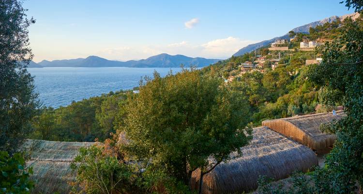 View of coastline with trees and hills.