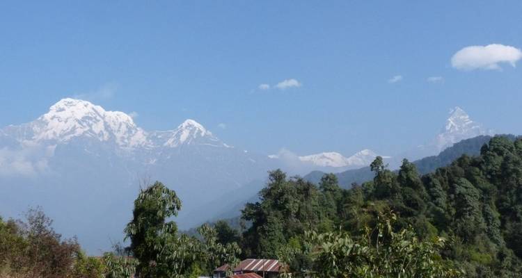 Besneeuwde bergen in de verte met groene heuvels op de voorgrond.