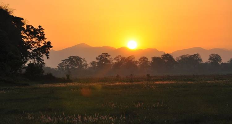 Zonsopgang over een landschap met bomen in silhouet.