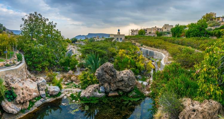 Lush landscape with trees and rocky outcrops under a cloudy sky.