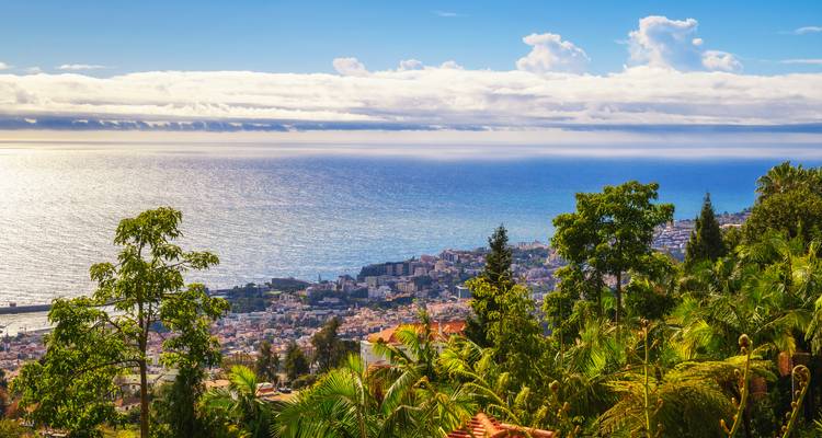 Vista panorámica de la ciudad de Funchal y el Océano Atlántico enmarcada por frondosos árboles.