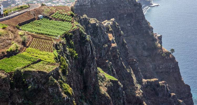 Terraced fields on steep cliffs by the ocean.
