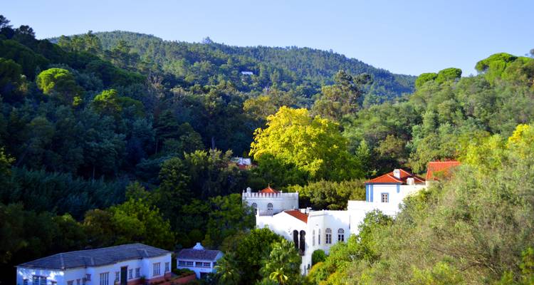 Colinas cubiertas de bosque salpicadas de villas blancas en la Serra de Monchique bajo un cielo despejado