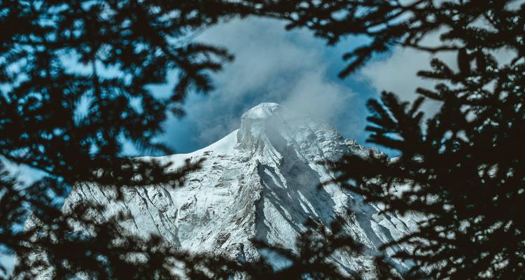 Bergtop gezien door boomtakken met gedeeltelijke bewolking.