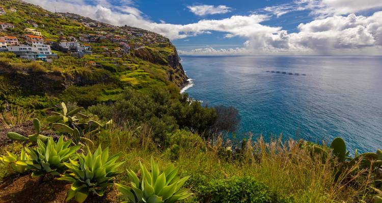 Weelderige kliffige helling met vetplanten met uitzicht op de diepblauwe Atlantische Oceaan en een ver gelegen Madeira-dorp.