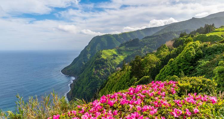 Levendige roze bloemen omlijsten een steile groene kustlijn die naar de Atlantische Oceaan eronder afloopt.