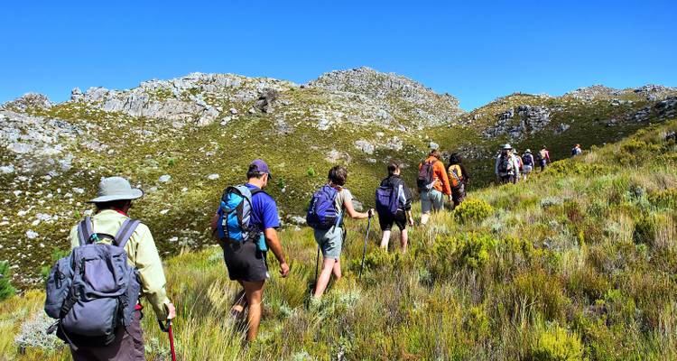 Large hiking party trekking up a grassy mountain slope under a clear blue sky