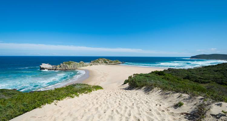 Pristine sand dune descending to a remote beach and lagoon along a forested coastline