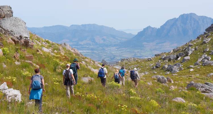 Hiking group traversing a flower-filled mountain valley with peaks in the distance