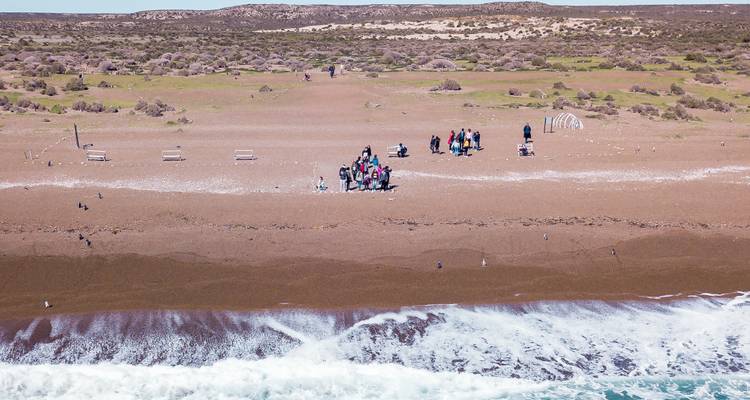 Luftaufnahme einer Gruppe von Menschen in der Nähe des Ozeans.