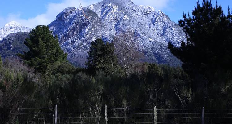 Mountainous scenery featuring dense forest and clear sky.