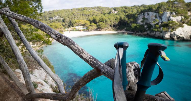 Hiking poles resting by a scenic coastal path.