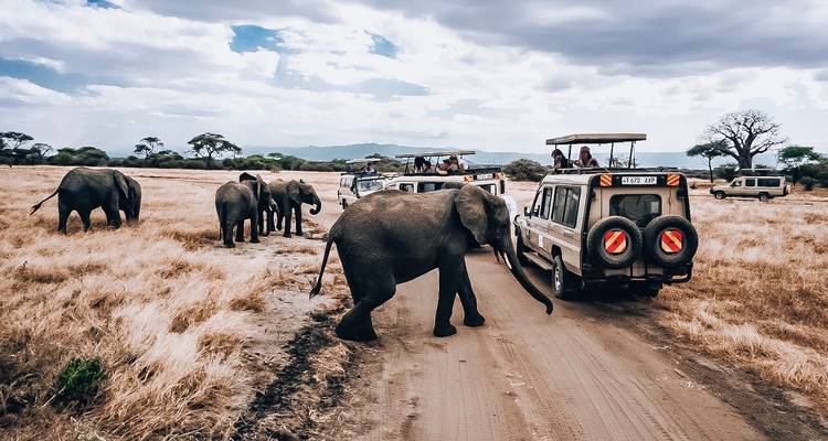 Le combo safari ultime : 15 jours d'escalade et de safari au Kilimanjaro
 - Kilimanjaro Trekking Mate 3