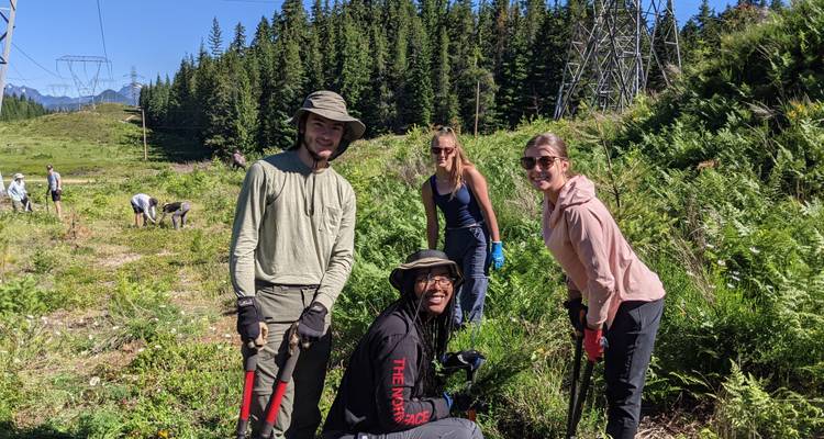 Pacifique Nord- Ouest : Observation des baleines, restauration écologique et Trek dans les Cascade Mountains de Washington - GIVE Volunteers 10