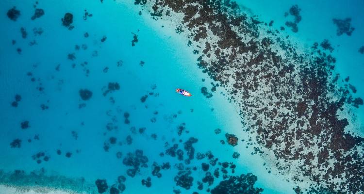 Small Group Roundtrip & Bathing - Sri Lanka & Maldives (incl. flight) - Bavaria Fernreisen 3