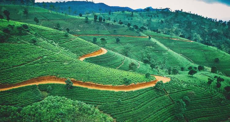 Small Group Roundtrip & Bathing - Sri Lanka & Maldives (incl. flight) - Bavaria Fernreisen 7