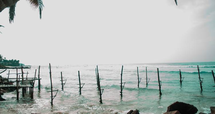 Small Group Roundtrip & Bathing - Sri Lanka & Maldives (incl. flight) - Bavaria Fernreisen 8
