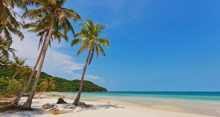 Tropischer Strand mit Palmen und klarem blauem Himmel.