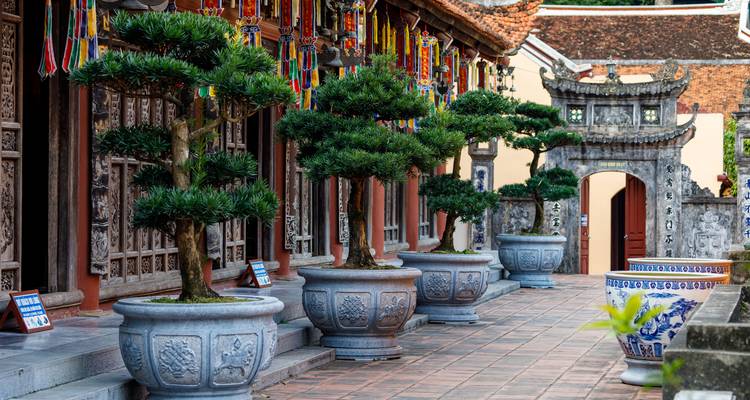 Traditionelle Architektur mit Bonsai-Bäumen in großen Töpfen entlang des Weges.