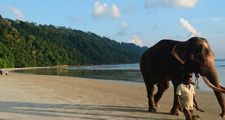 L'enchantement d'Andaman : Retraite amoureuse à travers les îles Havelock, Neil et Ross - MTA Destination Management Company 3