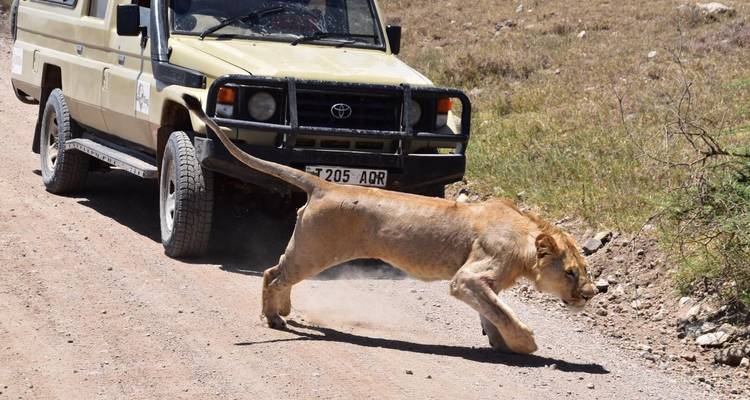 El mejor safari privado de 2 días por Tanzania desde Moshi a un precio razonable - Africa Natural Tours 3