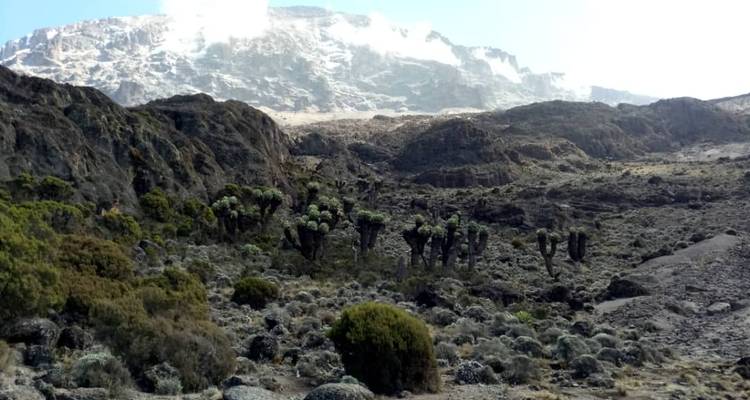 Excursionismo al monte Kilimanjaro Marangu. - RajaTours Tanzania 3