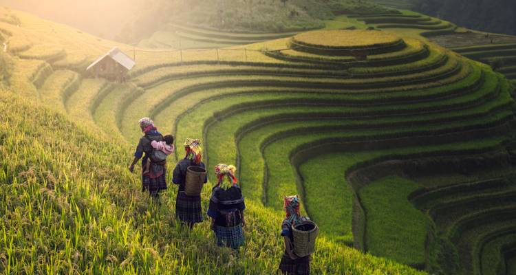 Vietnam & Bathing in Phan Thiet (incl. flight) Private Active Tour - Bavaria Fernreisen 2
