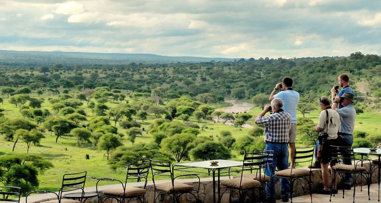 People with cameras overlooking a vast expanse of savannah.