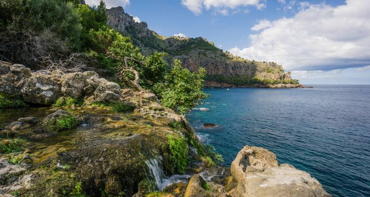 Cliffside with lush vegetation and clear blue water.