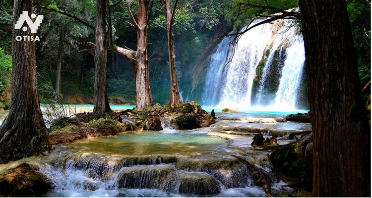 Chiapas de rêve : Une aventure fascinante à travers la culture et la tradition fantastiques - Otisa 7