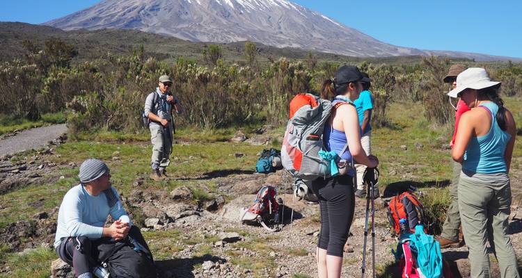 13 - días de safari combinado - escalada al Kilimanjaro y safari - Kilimanjaro Trekking Mate 2