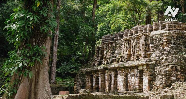 Discover the Bohemian Side of Chiapas and its Fantastic Cultural and Natural Attractions - Otisa 10
