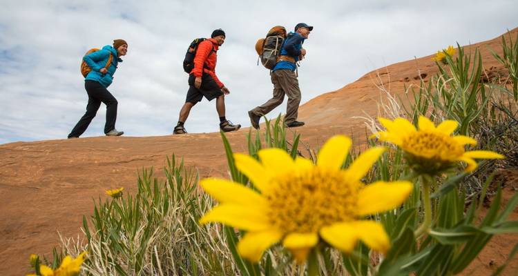 Drei Wanderer gehen auf einem steinigen Pfad an gelben Blumen vorbei.